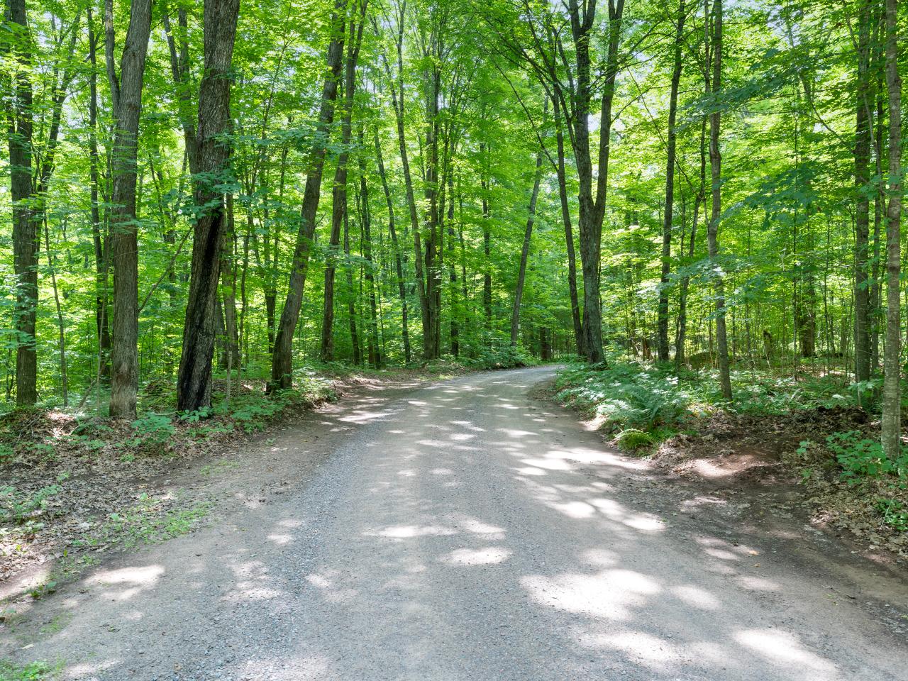 Amik Lake Property 1682 Turner Lake Rd E Photo 17