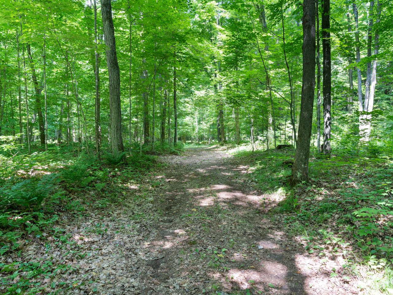 Amik Lake Property 1682 Turner Lake Rd E Photo 18