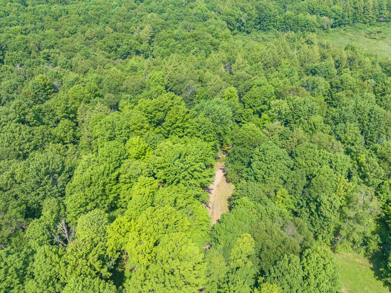 Amik Lake Property 1682 Turner Lake Rd E Photo 28