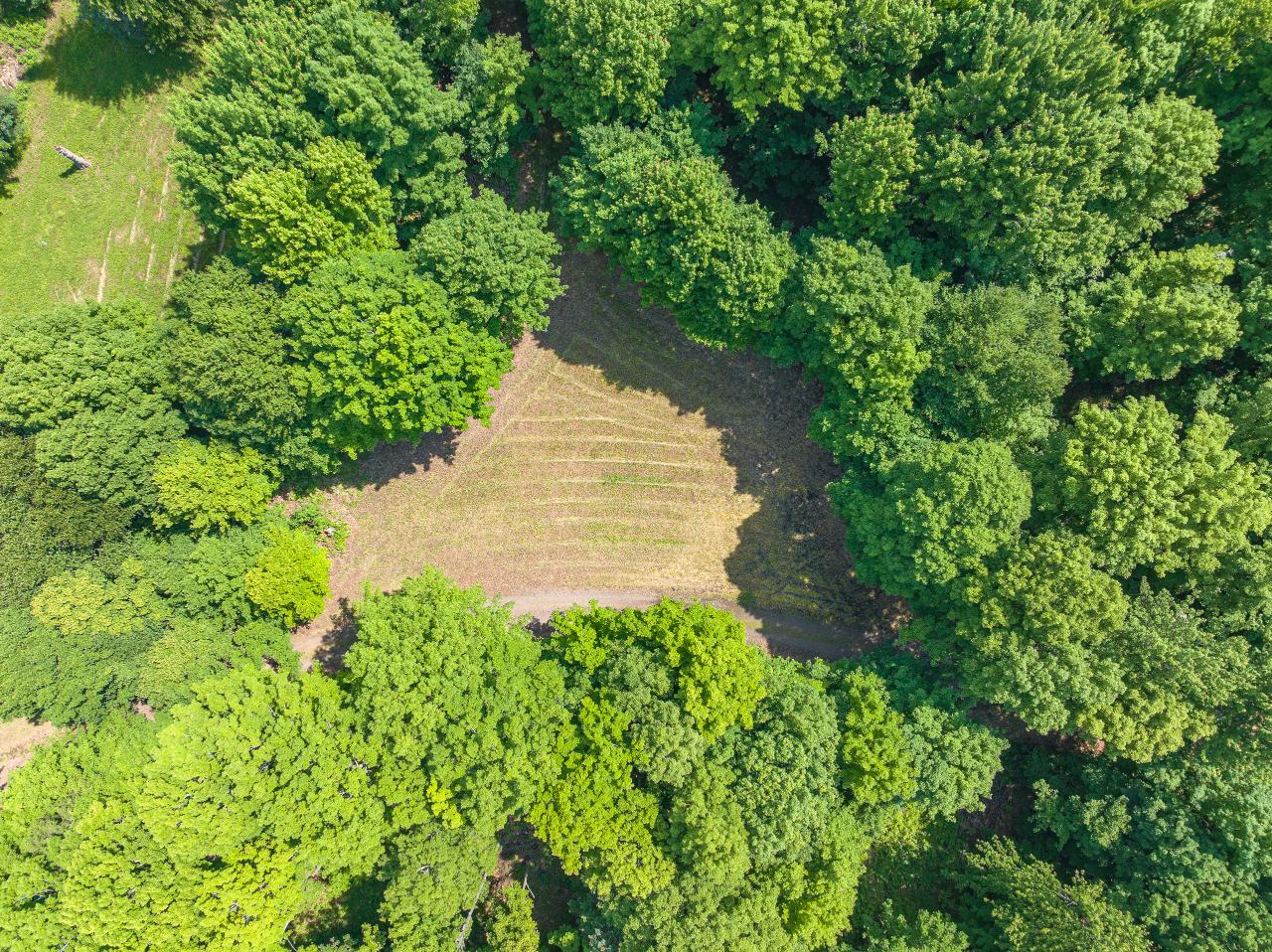 Amik Lake Property 1682 Turner Lake Rd E Photo 8