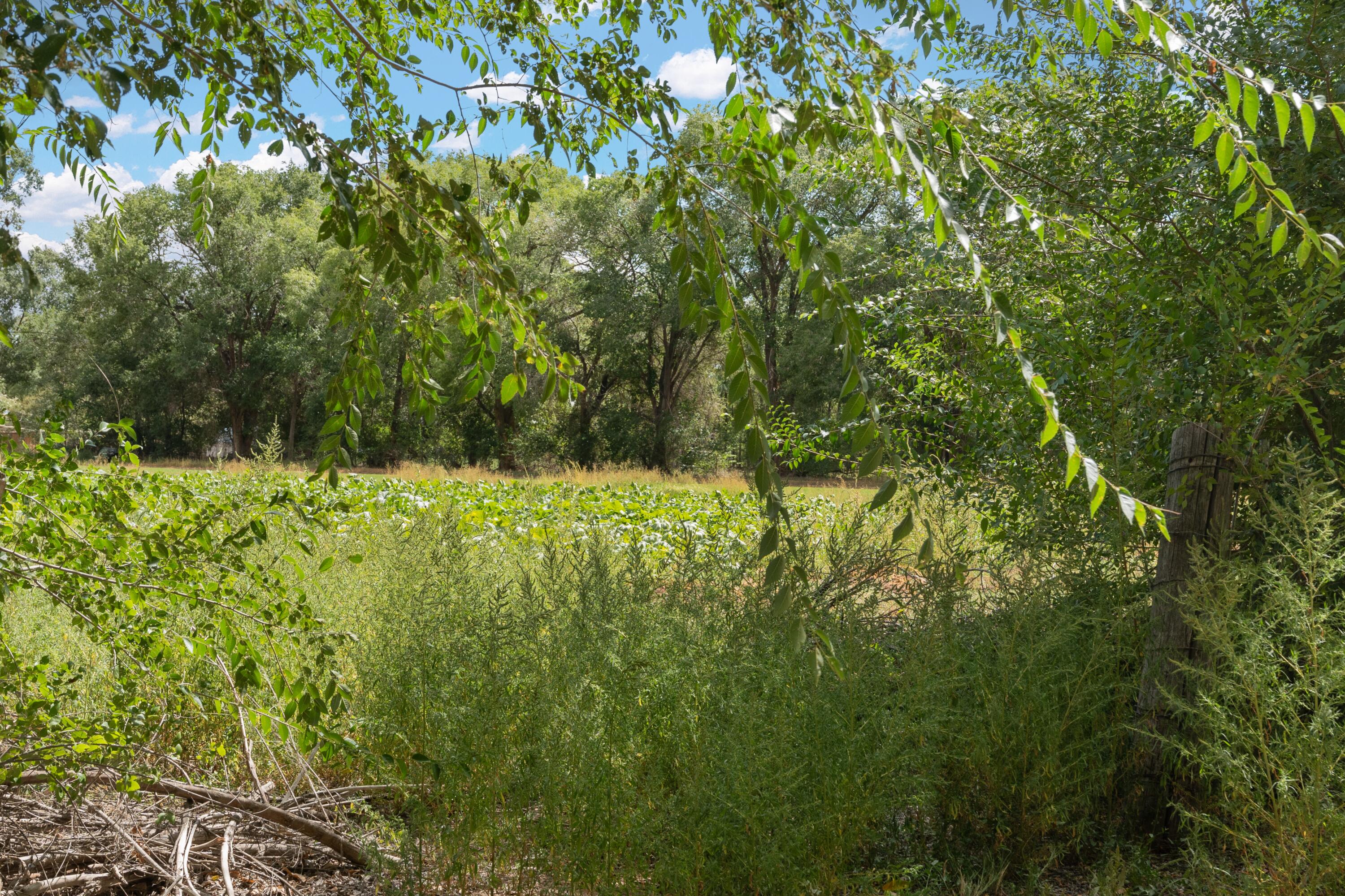 Homes for sale in Corrales, NM | 0 Wallace Ln, Corrales, NM 87048 | MLS# 1072617