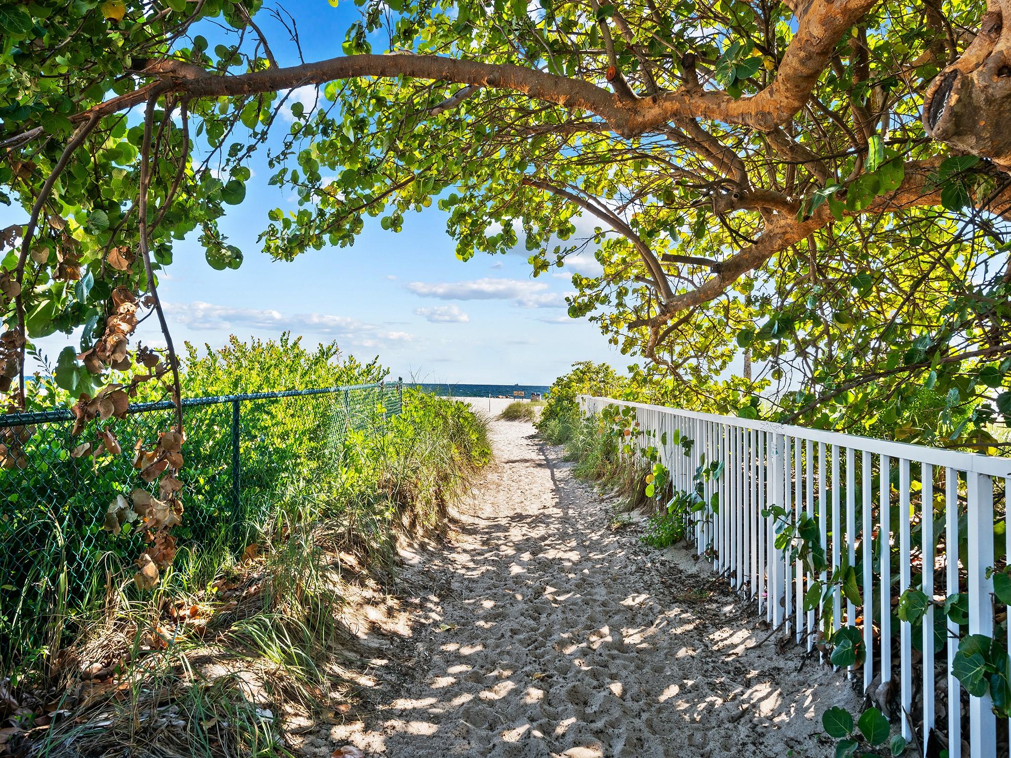 Pathway To The Beach
