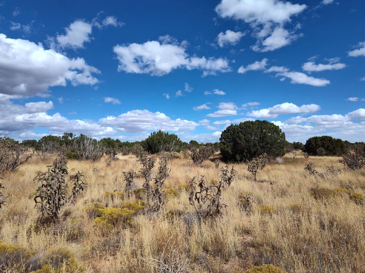 Homes for sale in Mountainair, NM | Golf Course Rd, Mountainair, NM 87036 | MLS# 1073240