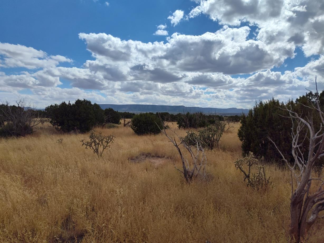 Homes for sale in Mountainair, NM | Golf Course Rd, Mountainair, NM 87036 | MLS# 1073240