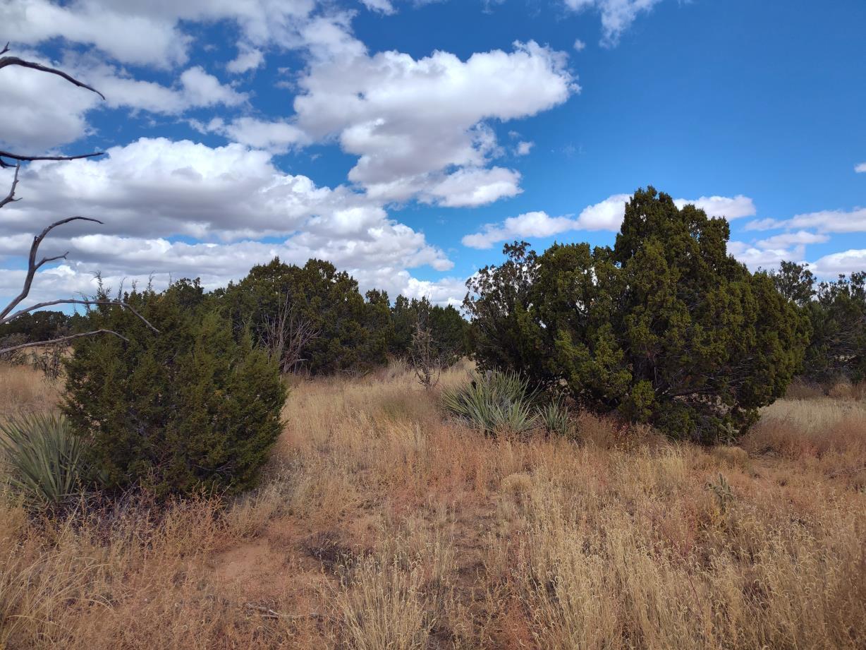 Homes for sale in Mountainair, NM | Golf Course Rd, Mountainair, NM 87036 | MLS# 1073240