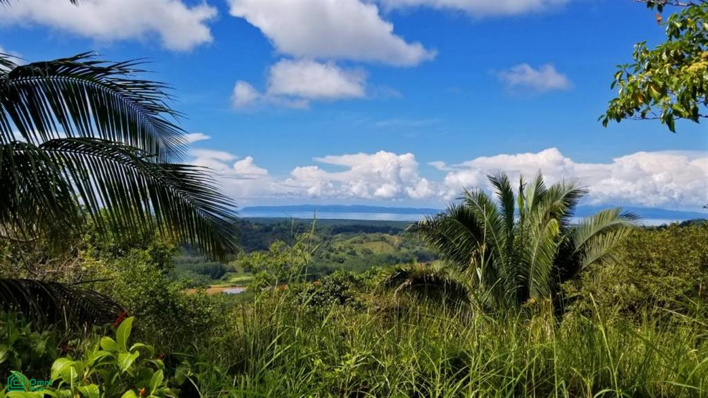 0 bed Land For Sale in Golfito, Puntarenas - 1
