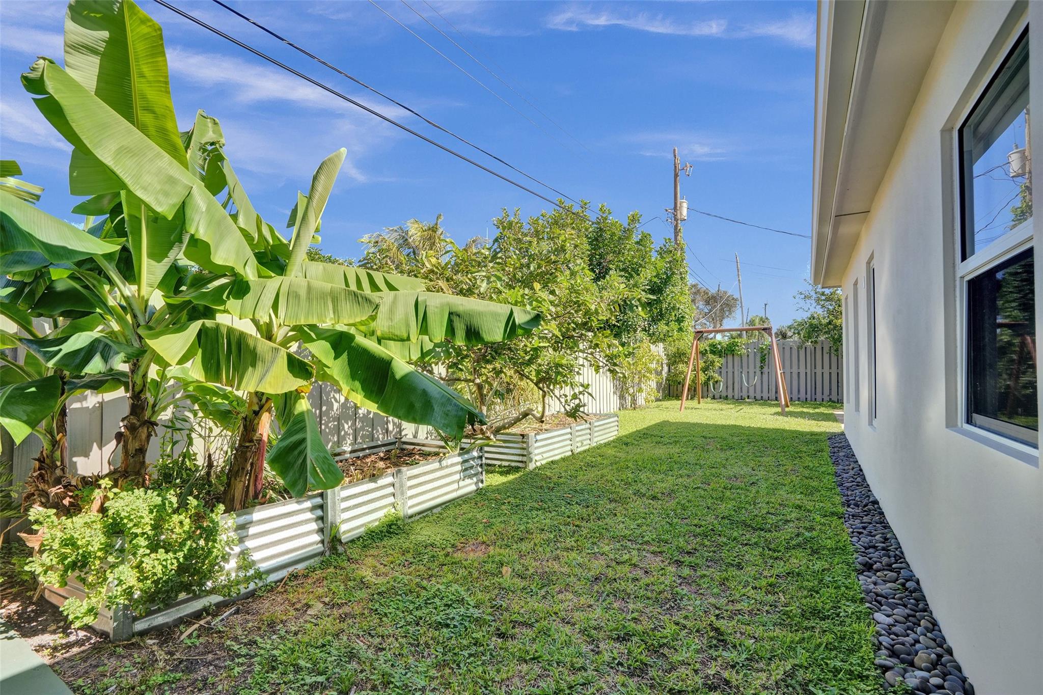 So Many Tropical Fruit Trees