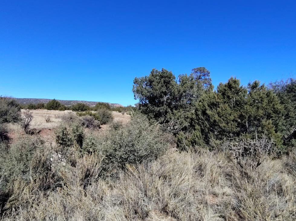 Homes for sale in Mountainair, NM | Road Runner Road, Mountainair, NM 87036 | MLS# 1074136