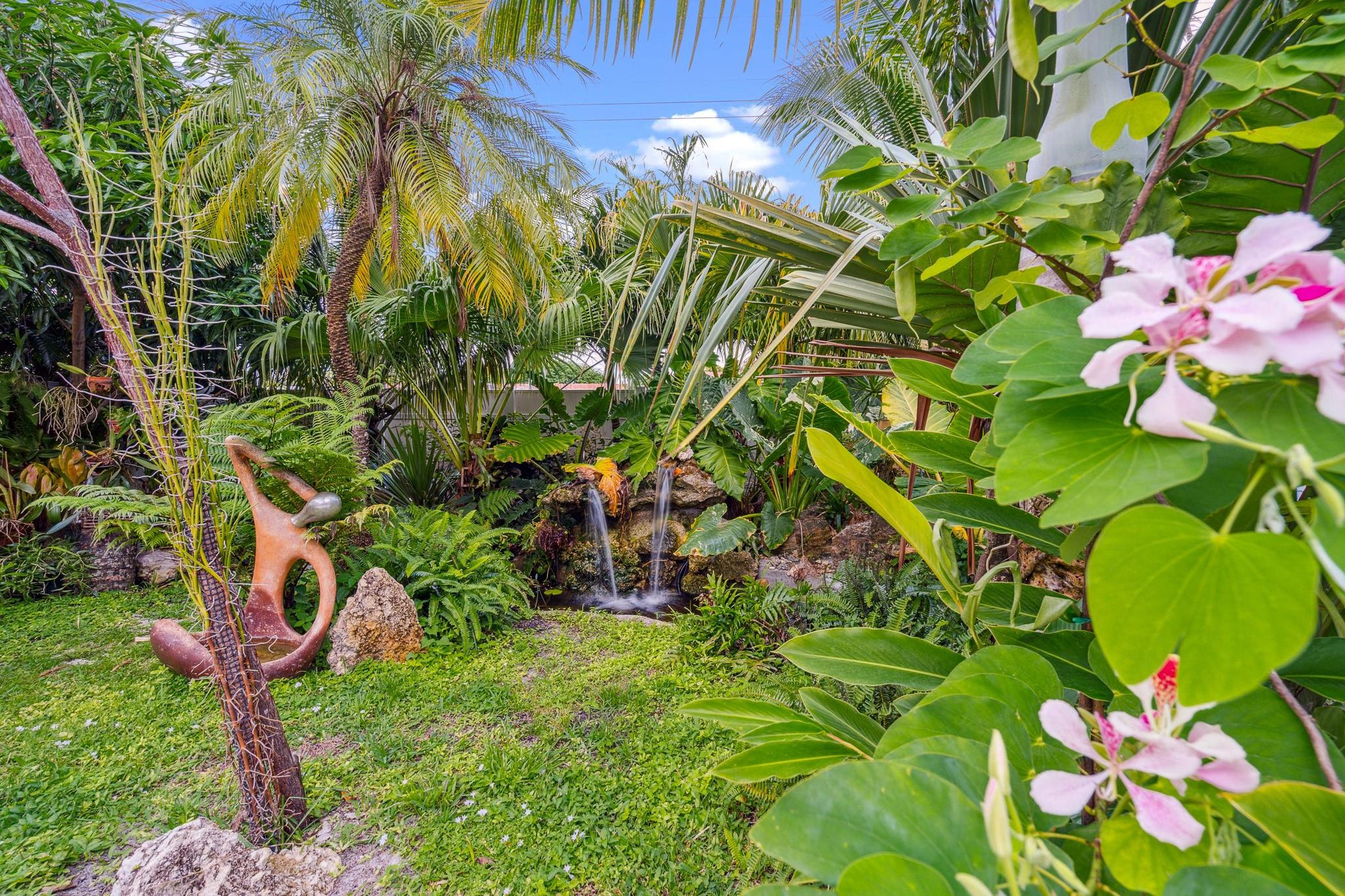 Tropical Garden with koi pond