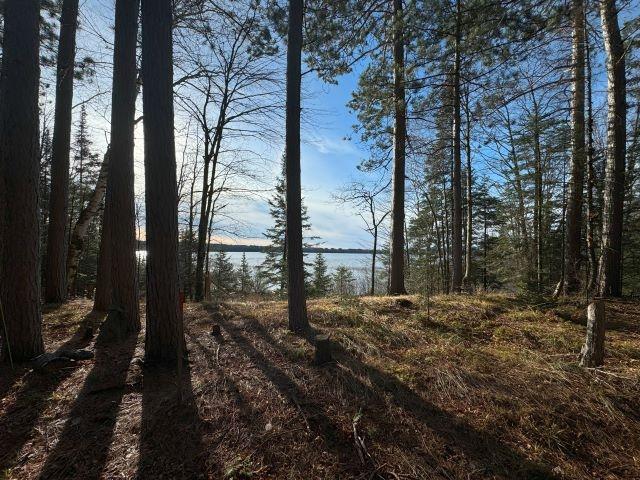Harris Lake Property 14175 Harris Creek Ln Photo 1