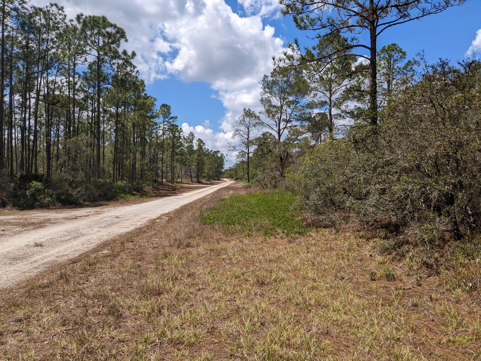 Sun N Lakes Estates Sec 18