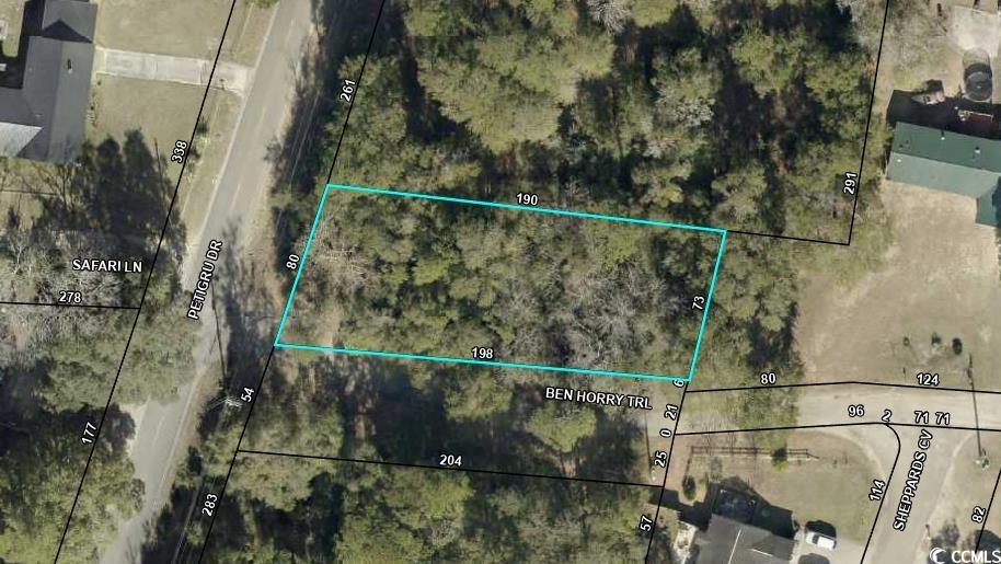 TBD Petigru Dr. Pawleys Island, SC 29585