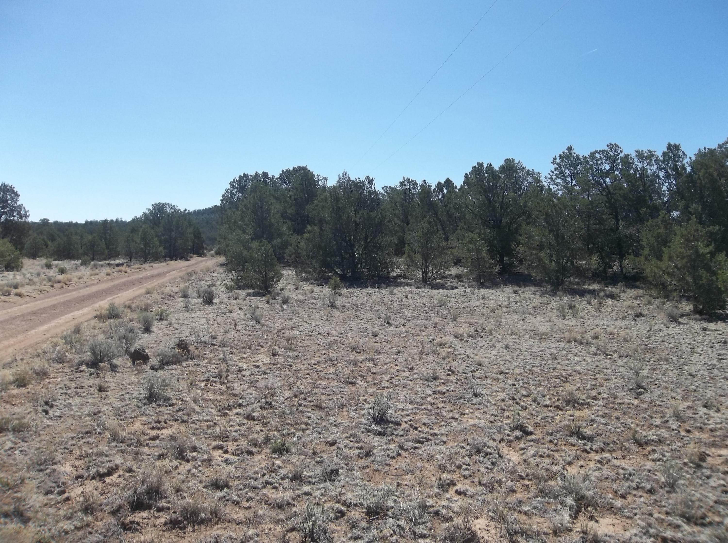 Homes for sale in Ramah, NM | 10 Camino De Fusilero Rd, Ramah, NM 87321 | MLS# 1075287