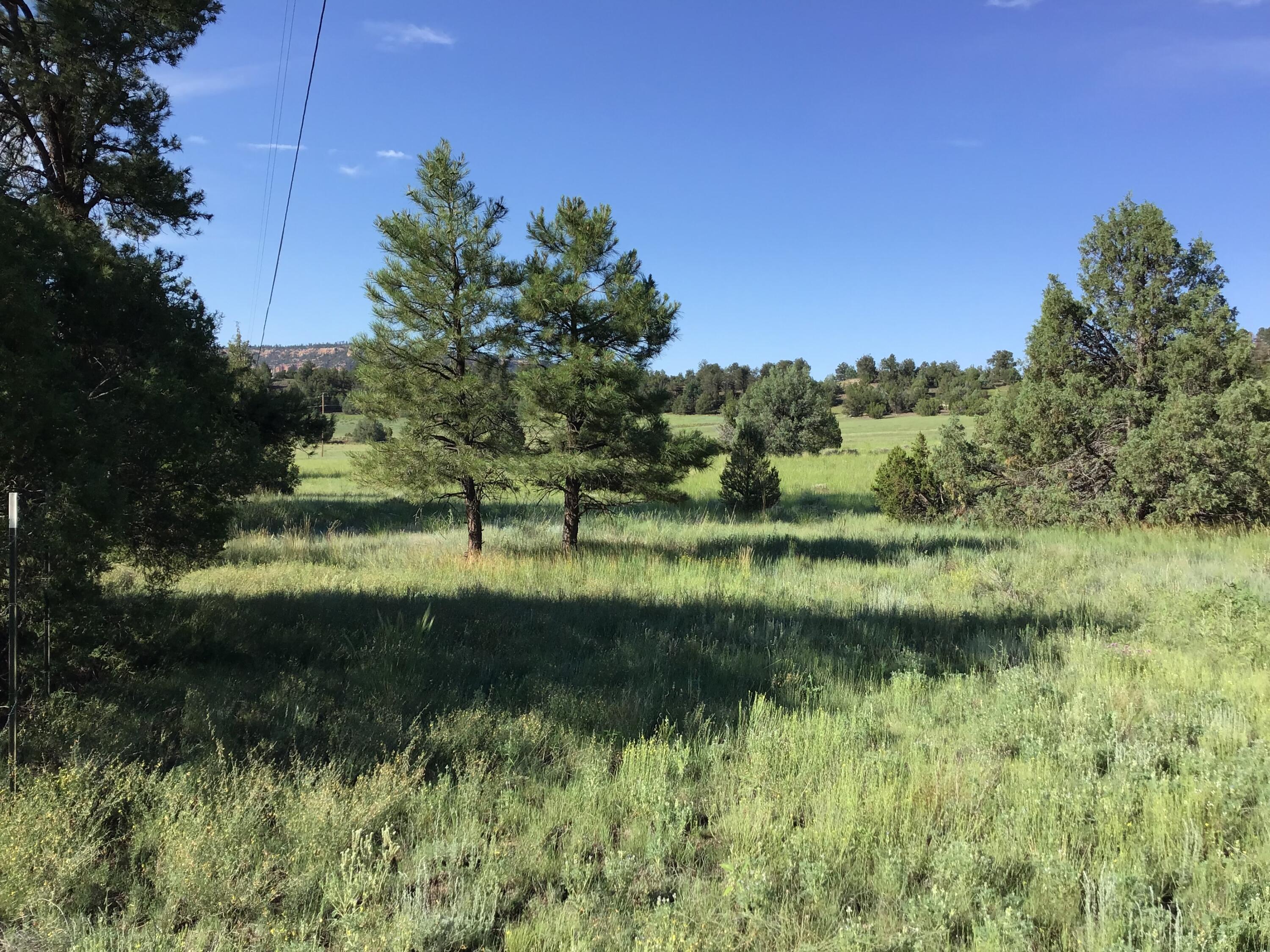 Homes for sale in Ramah, NM | Lot 44 Sunflower Dr, Ramah, NM 87321 | MLS# 1075300