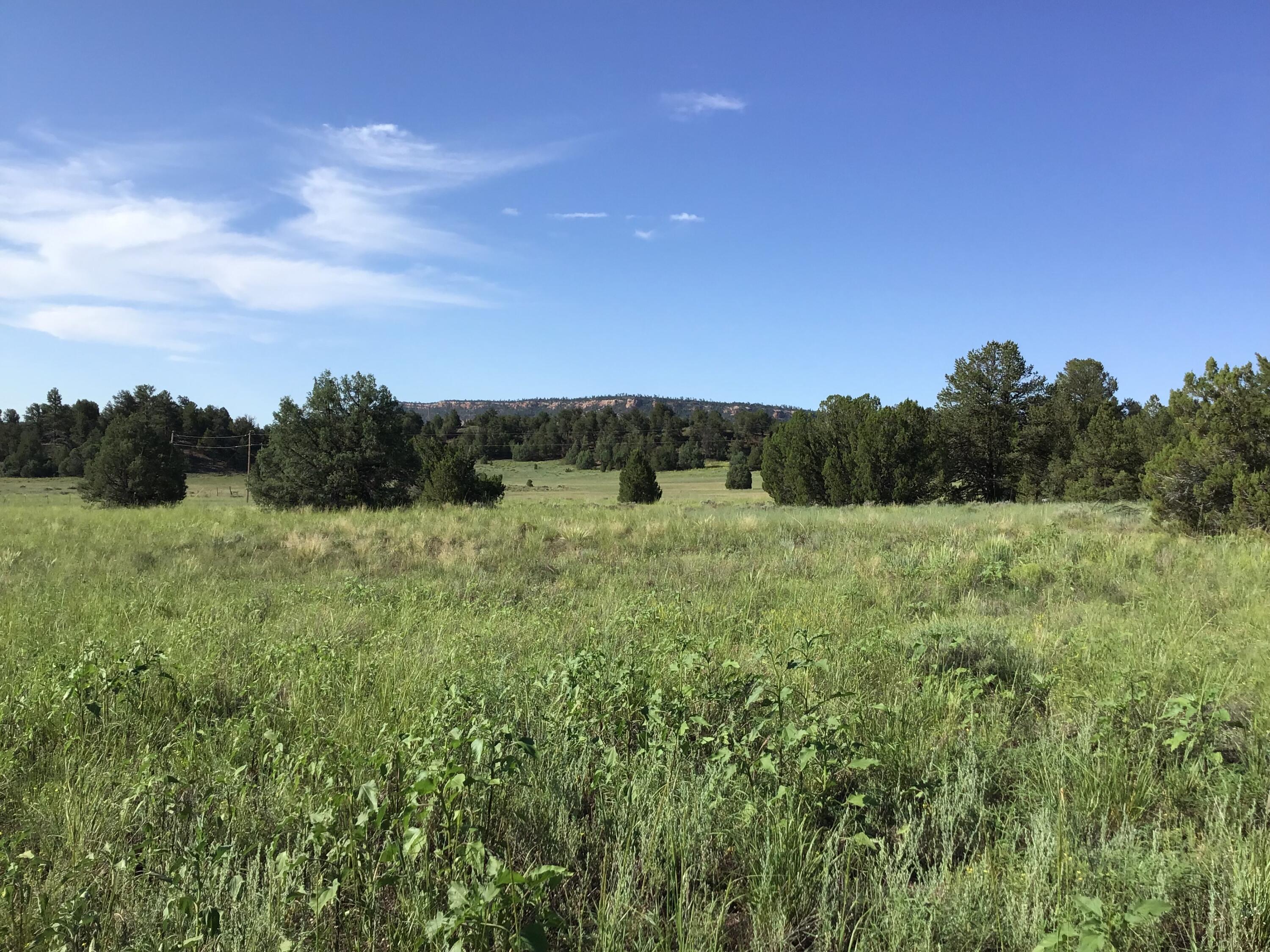 Homes for sale in Ramah, NM | Lot 44 Sunflower Dr, Ramah, NM 87321 | MLS# 1075300