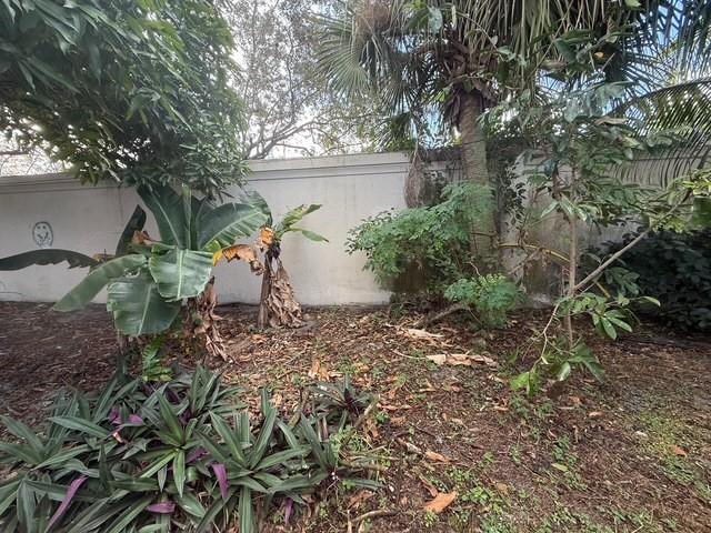 Back yard with fruit trees