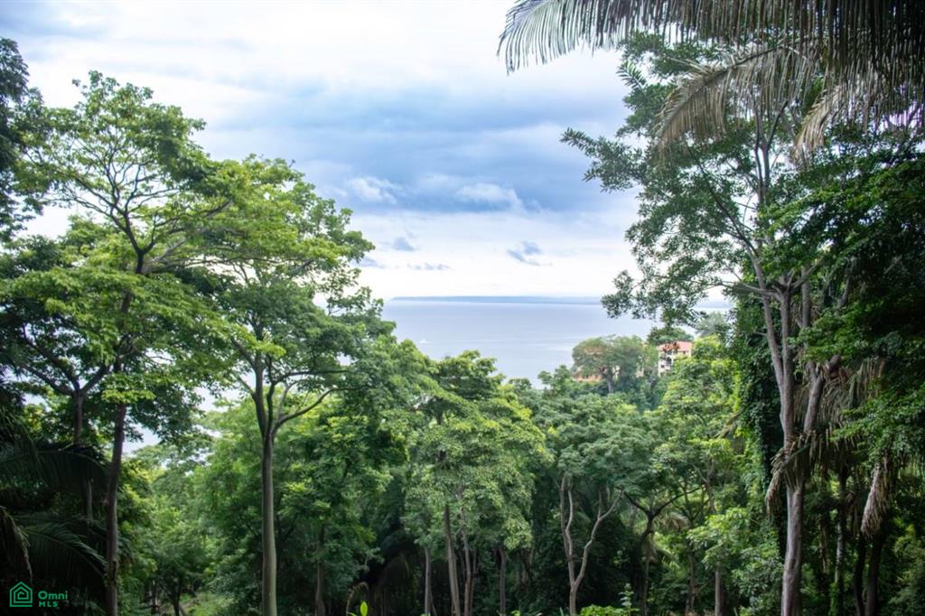 0 bed Land For Sale in Garabito, Puntarenas - 1