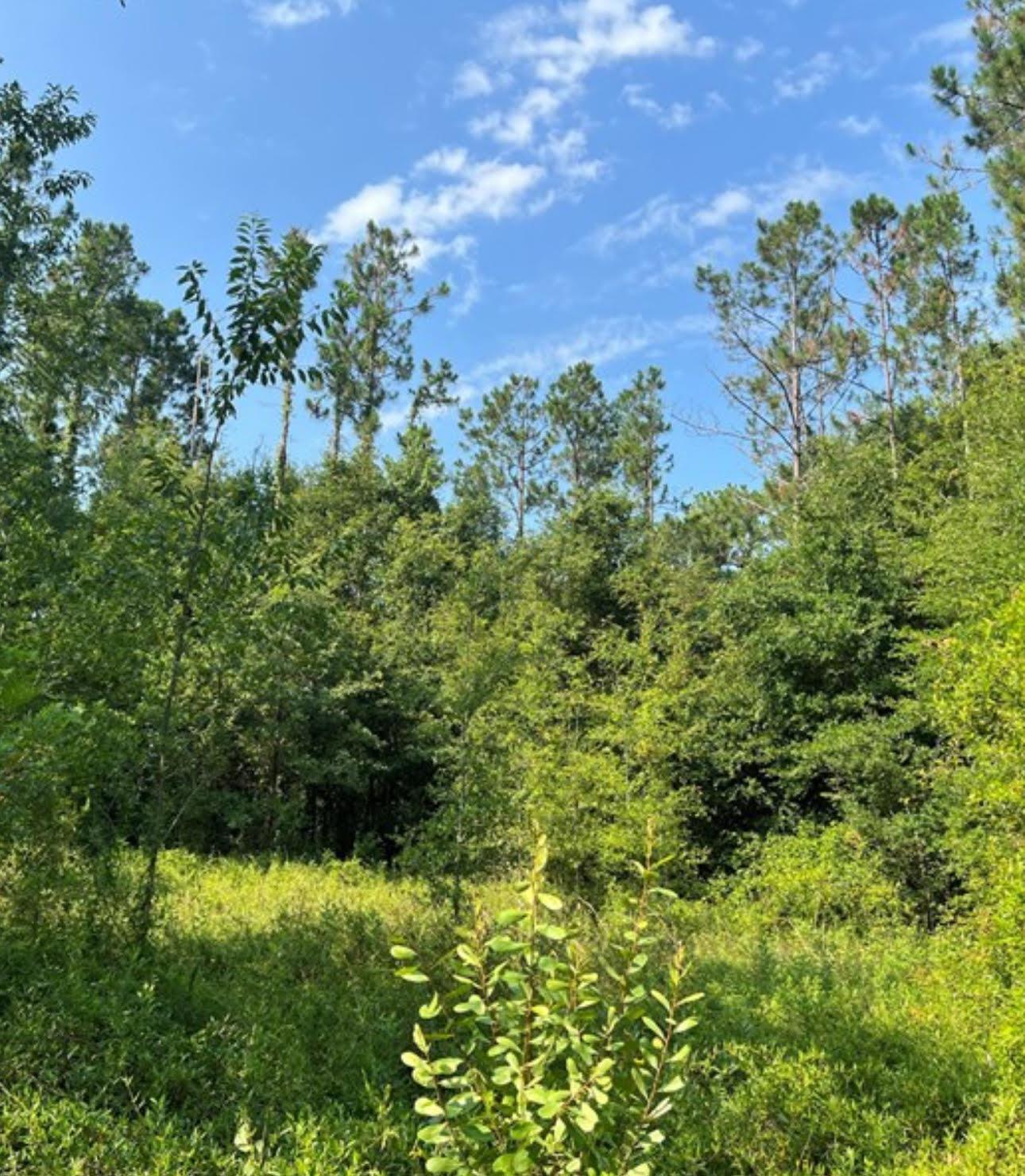 Homes for sale in Lake City, FL | 102 Sw Green Acres Way, Lake City, FL 32024 | MLS# R11047624