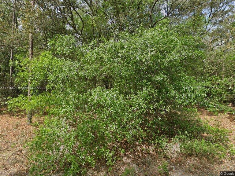 Interlachen Lakes Estates