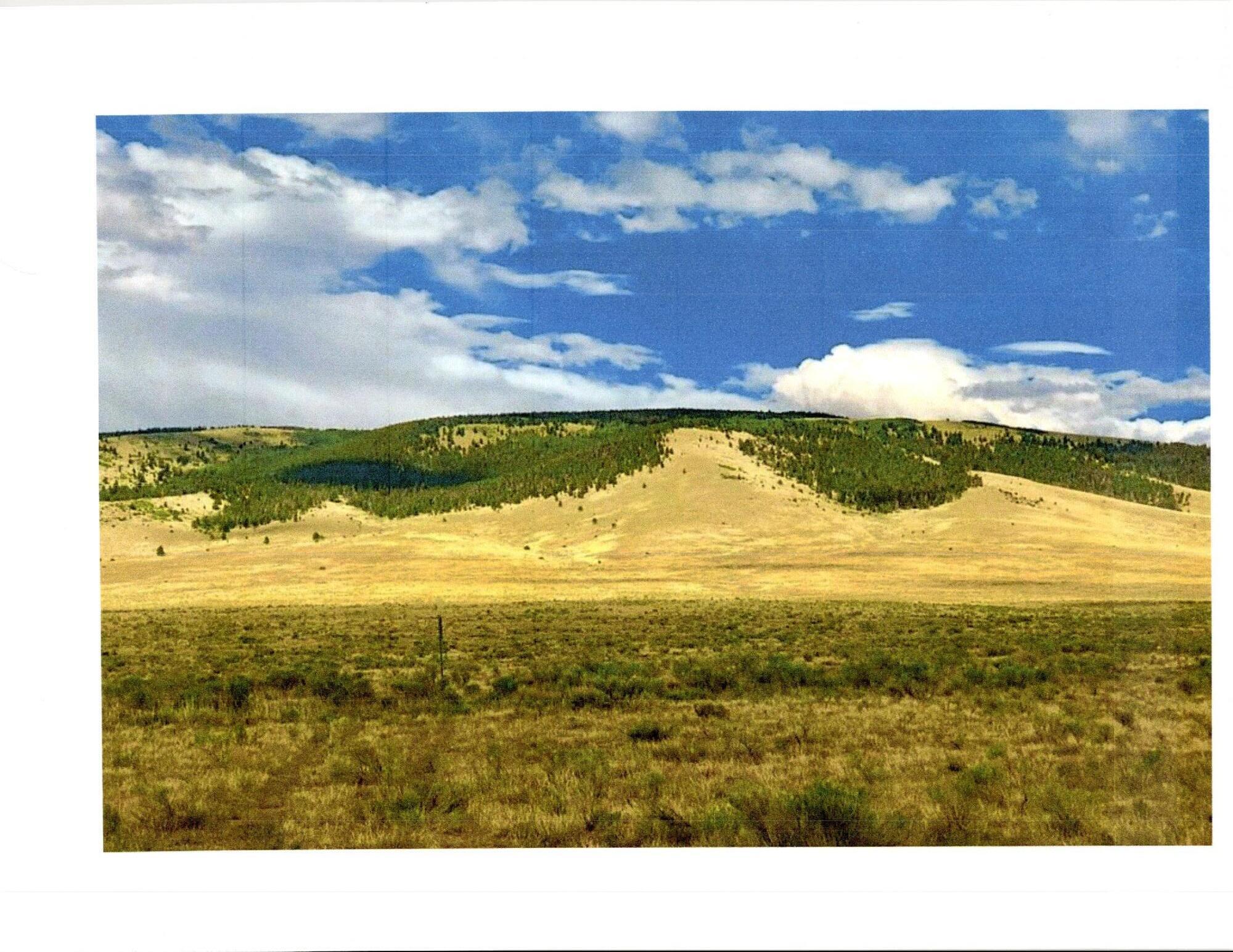 1st image of San Antonio Mountain Foothills, Tierra Amarilla, NM 87575 | MLS# 1075899