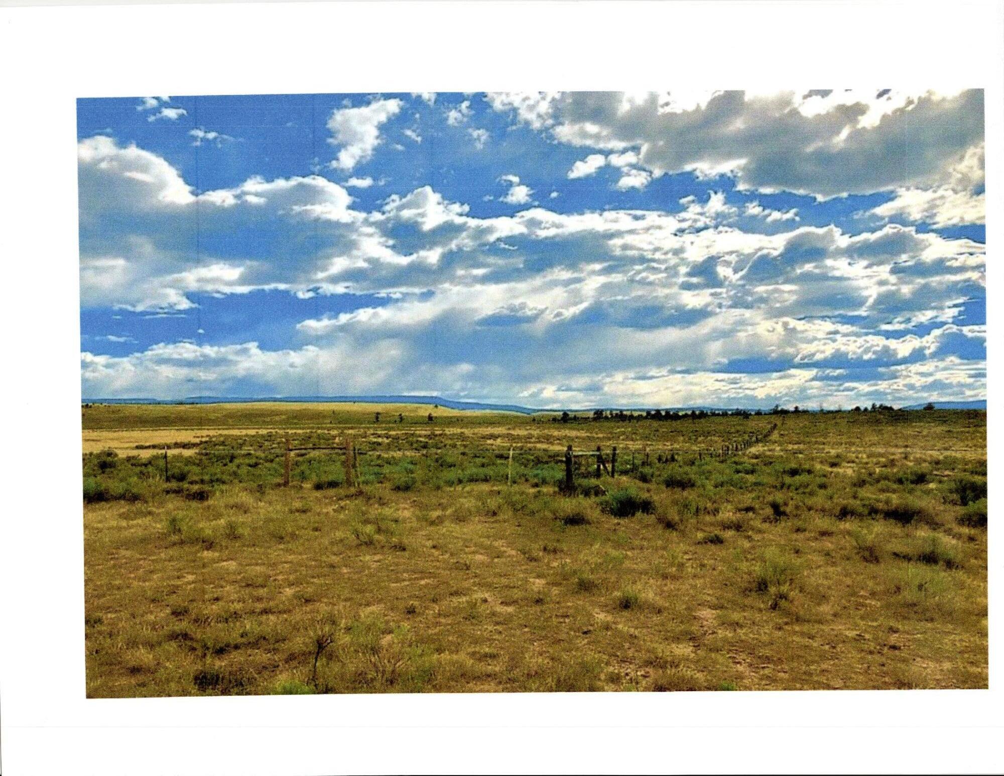 6th image of San Antonio Mountain Foothills, Tierra Amarilla, NM 87575 | MLS# 1075899