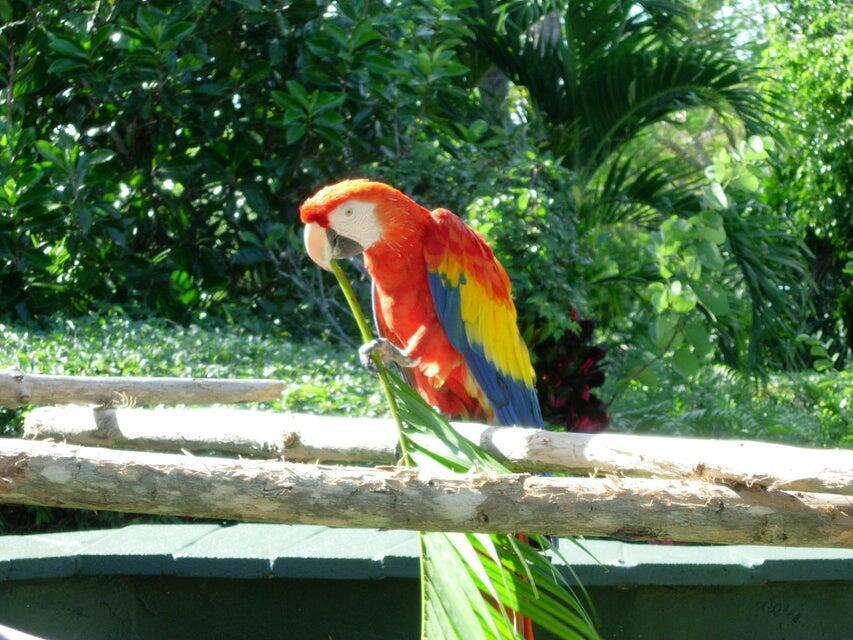 Homes for sale in Singer Island, FL | 4200 N Ocean Dr #2-201, Singer Island, FL 33404 | MLS# R11048611