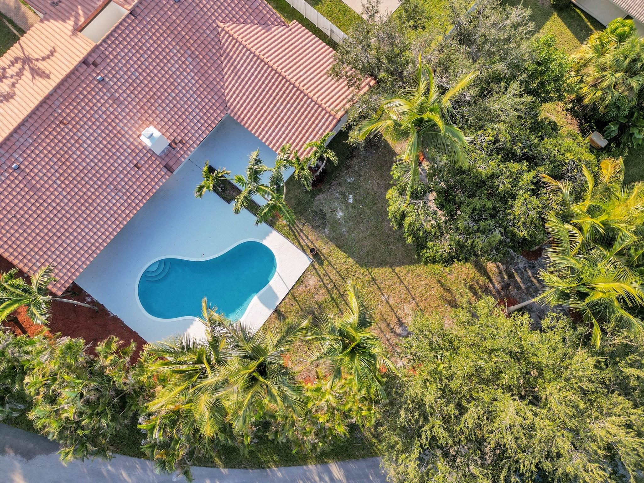 Aerial View of Backyard