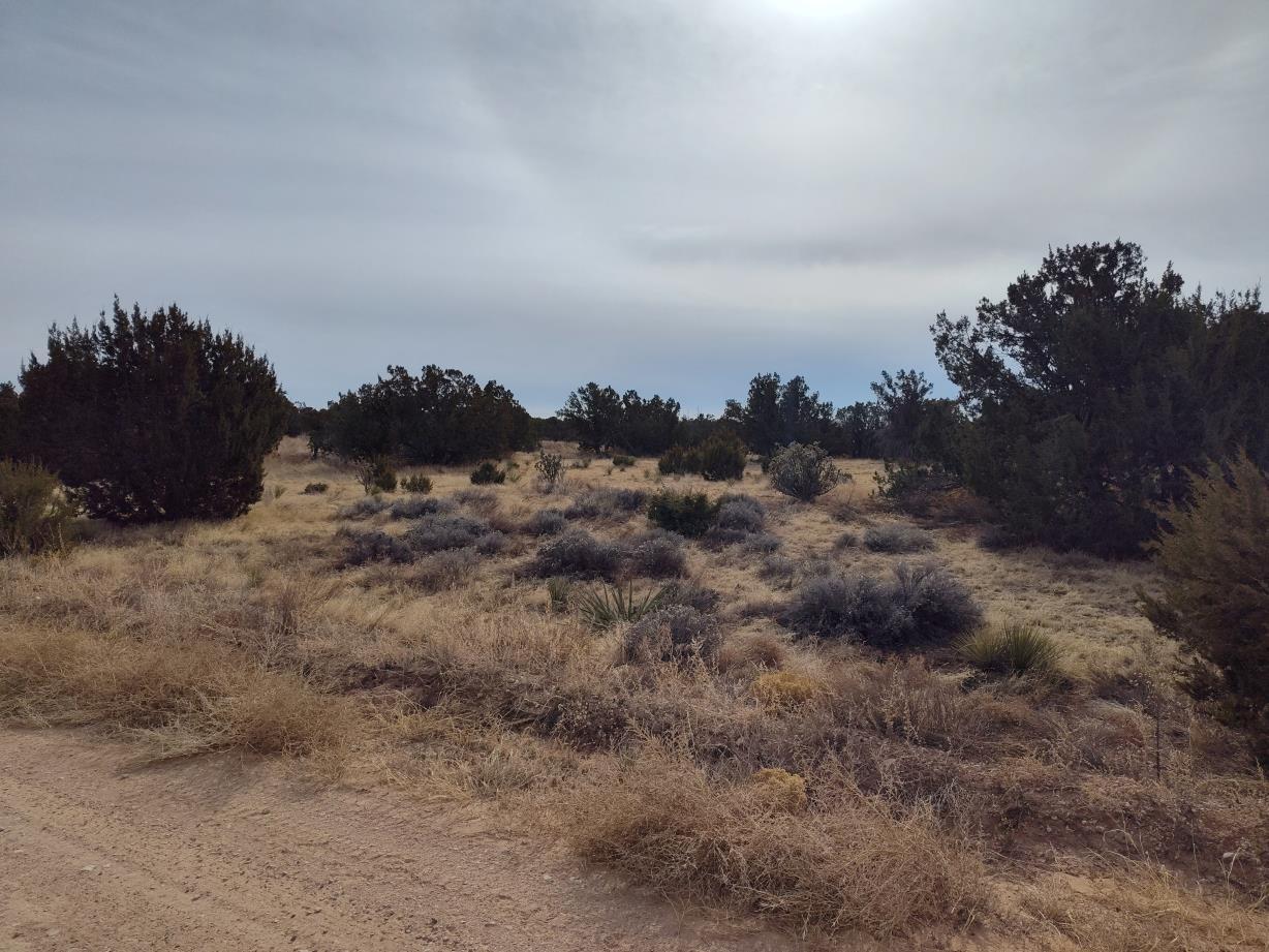 Homes for sale in Mountainair, NM | Seventh St, Mountainair, NM 87036 | MLS# 1076154