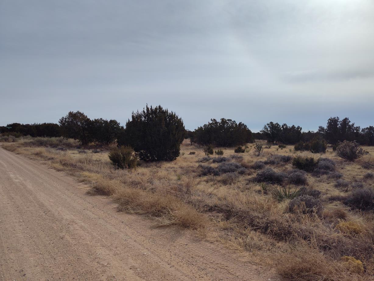 Homes for sale in Mountainair, NM | Seventh St, Mountainair, NM 87036 | MLS# 1076154