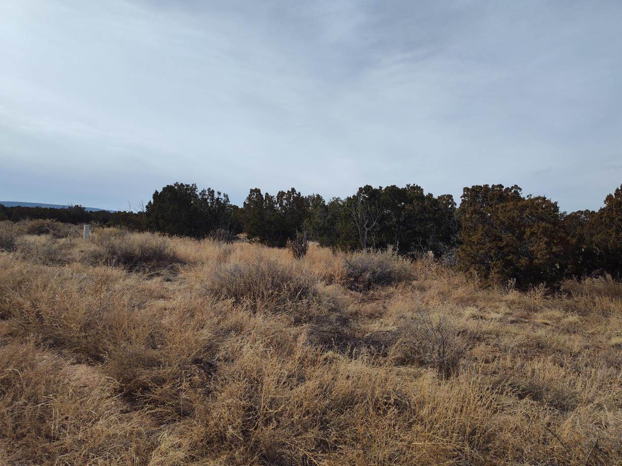 Homes for sale in Mountainair, NM | Seventh St, Mountainair, NM 87036 | MLS# 1076154