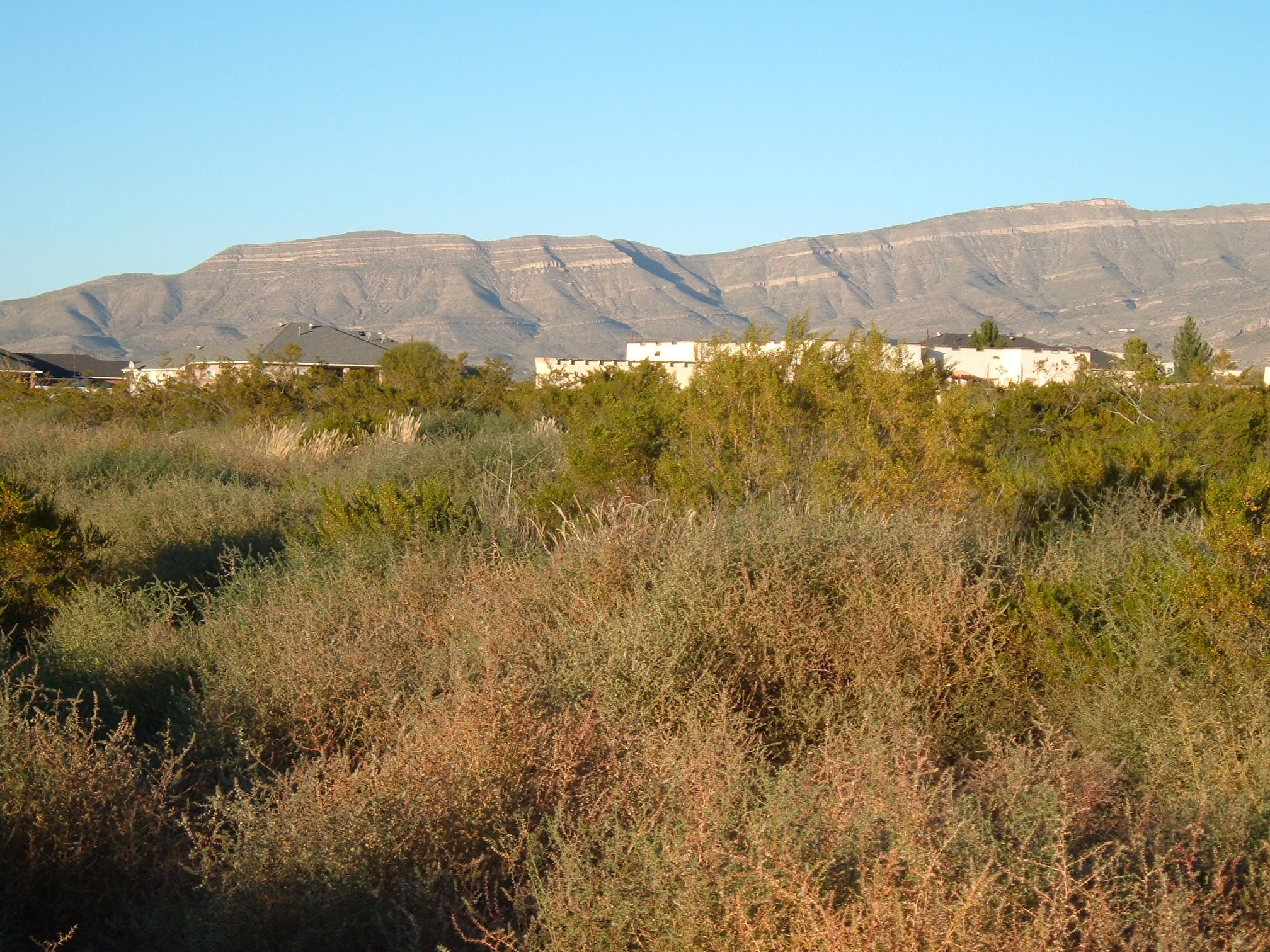 Homes for sale in Alamogordo, NM | 0 Divers Cove, Alamogordo, NM 88310 | MLS# 1076172