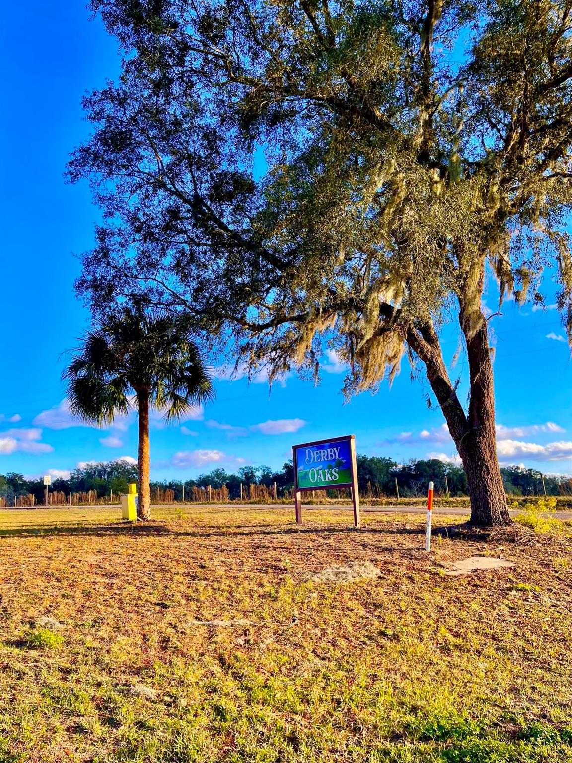 Homes for sale in Floral City, FL | 7451 E Derby Oaks Dr, Floral City, FL 34436 | MLS# R11050783