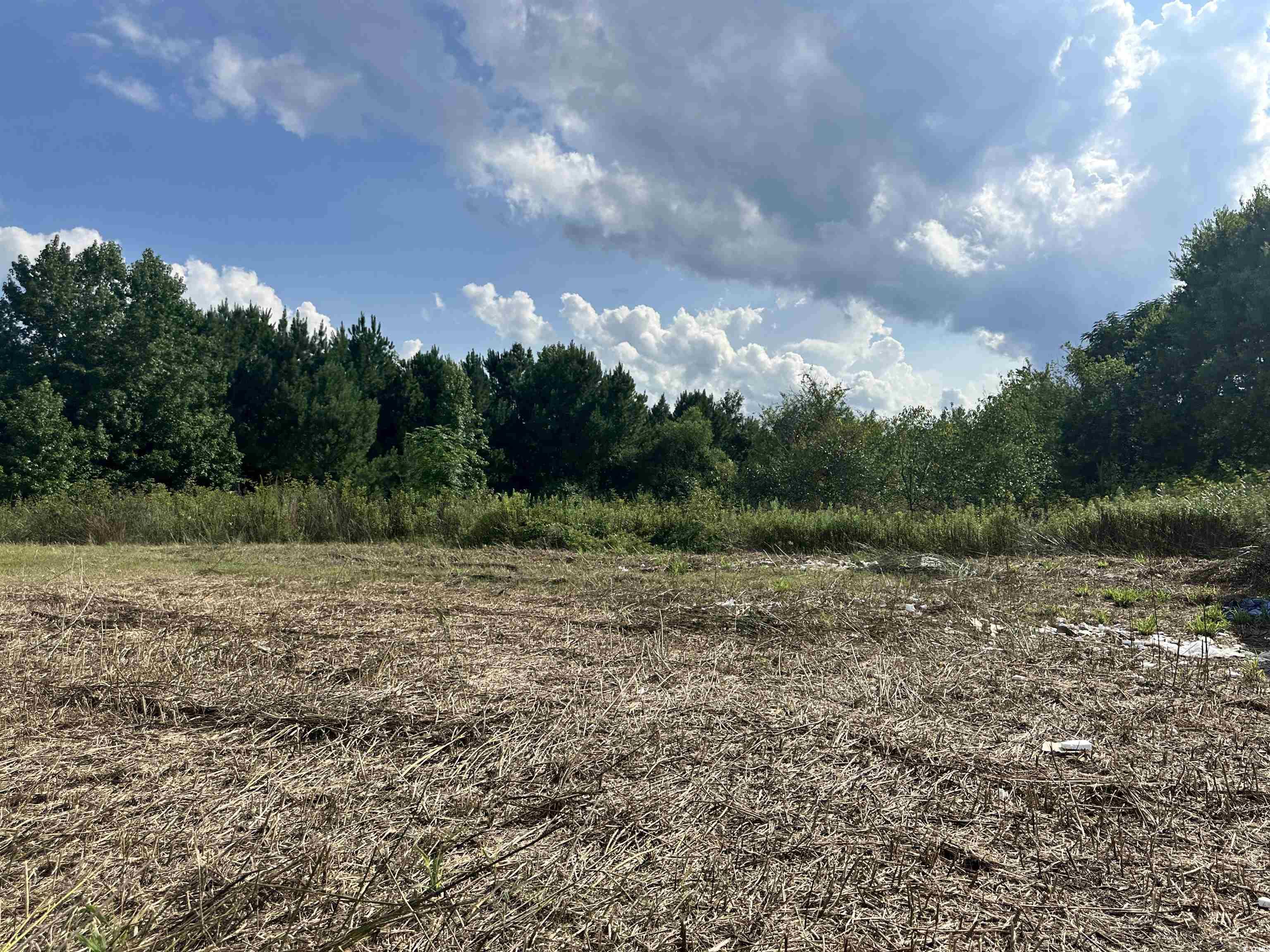 100 Lulu Ln. Bennettsville, SC 29512