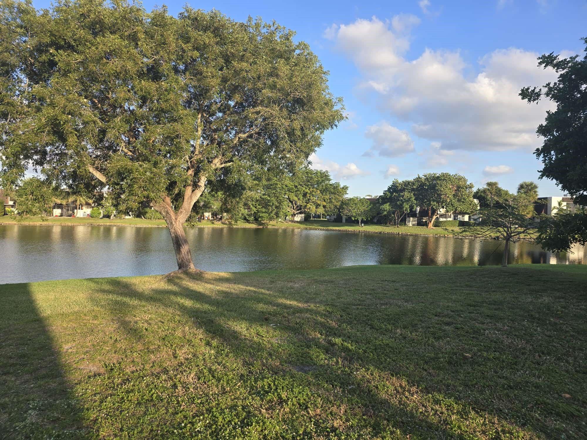 Homes for sale in Pembroke Pines, FL | 9111 Orchid Tree Ln #135, Pembroke Pines, FL 33024 | MLS# F10479609