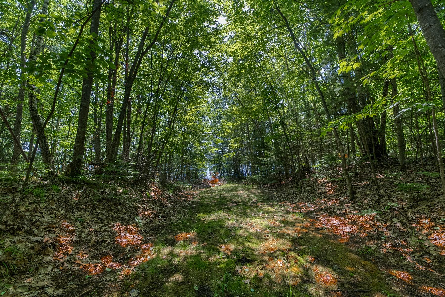 Deerskin Lake Property Off Shangri La Rd Photo 11