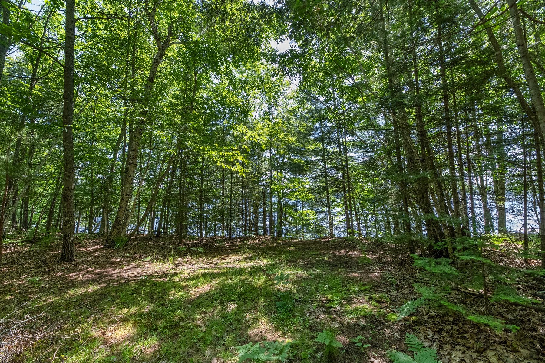 Deerskin Lake Property Off Shangri La Rd Photo 13