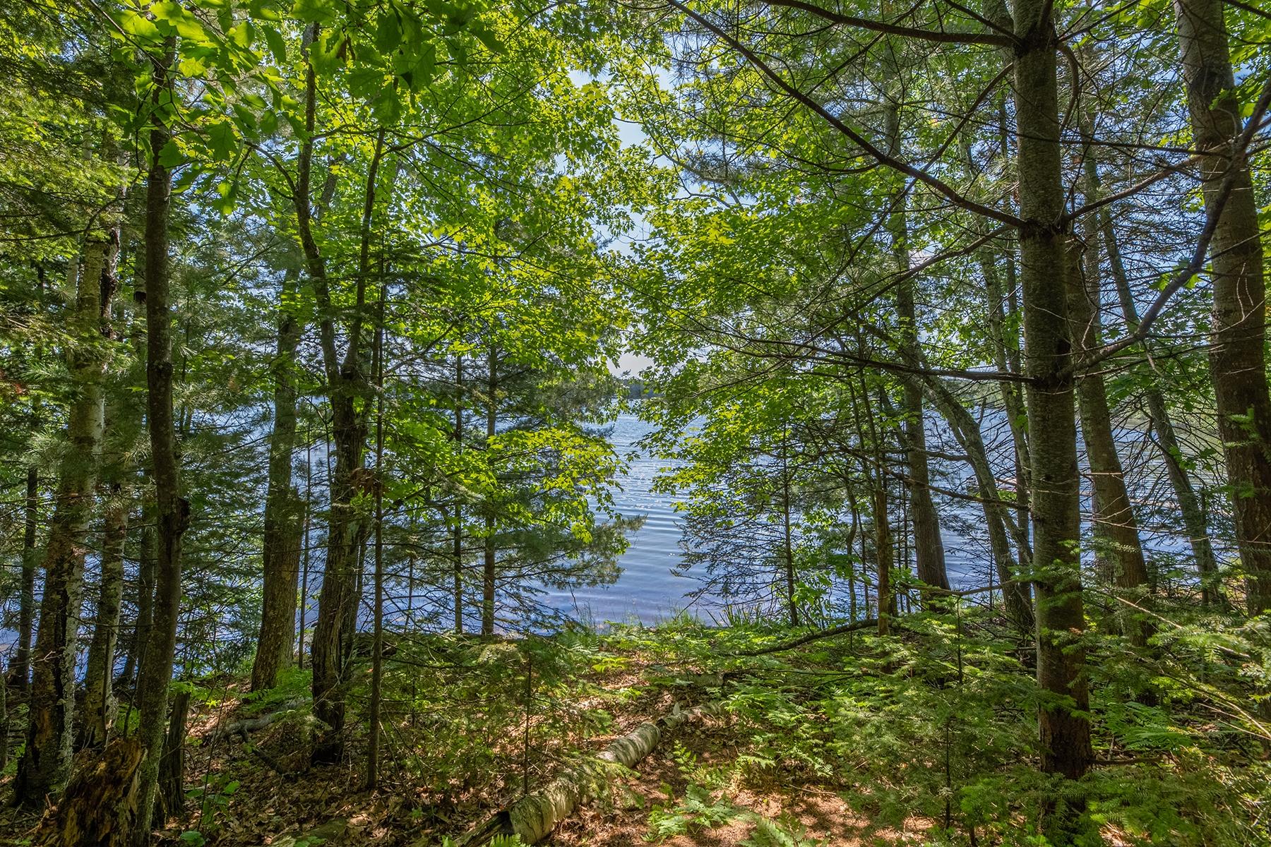 Deerskin Lake Property Off Shangri La Rd Photo 14
