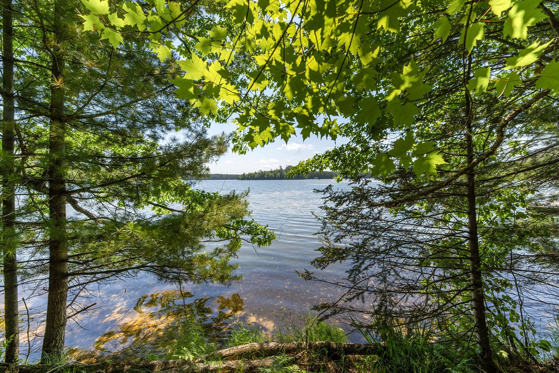 Deerskin Lake Property Off Shangri La Rd Photo 15