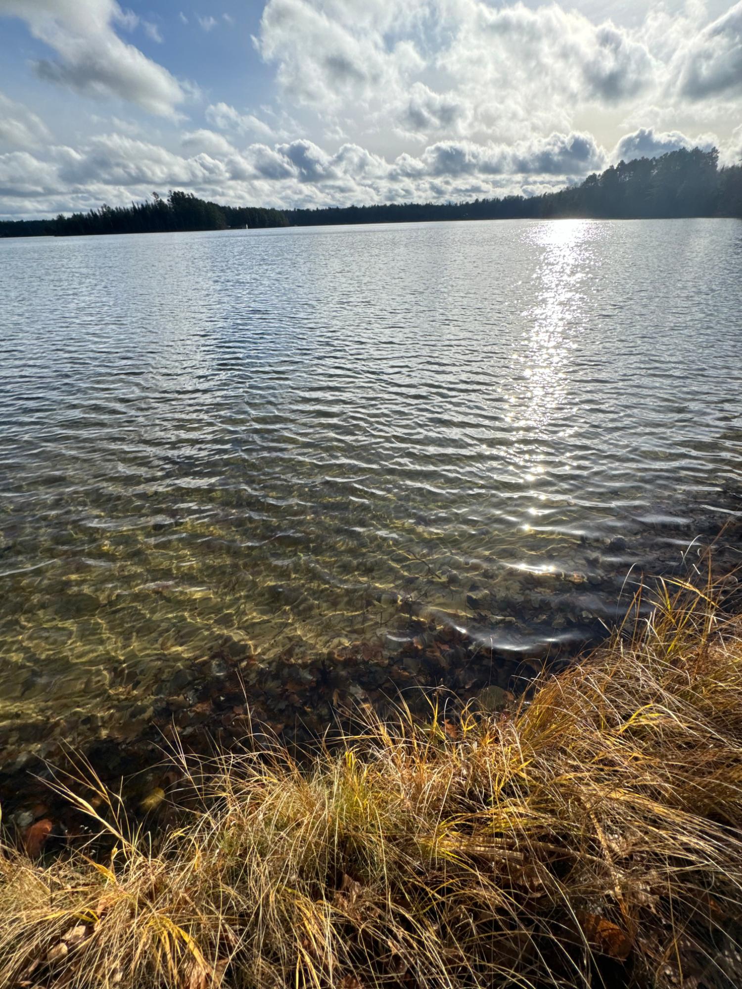 Deerskin Lake Property Off Shangri La Rd Photo 3