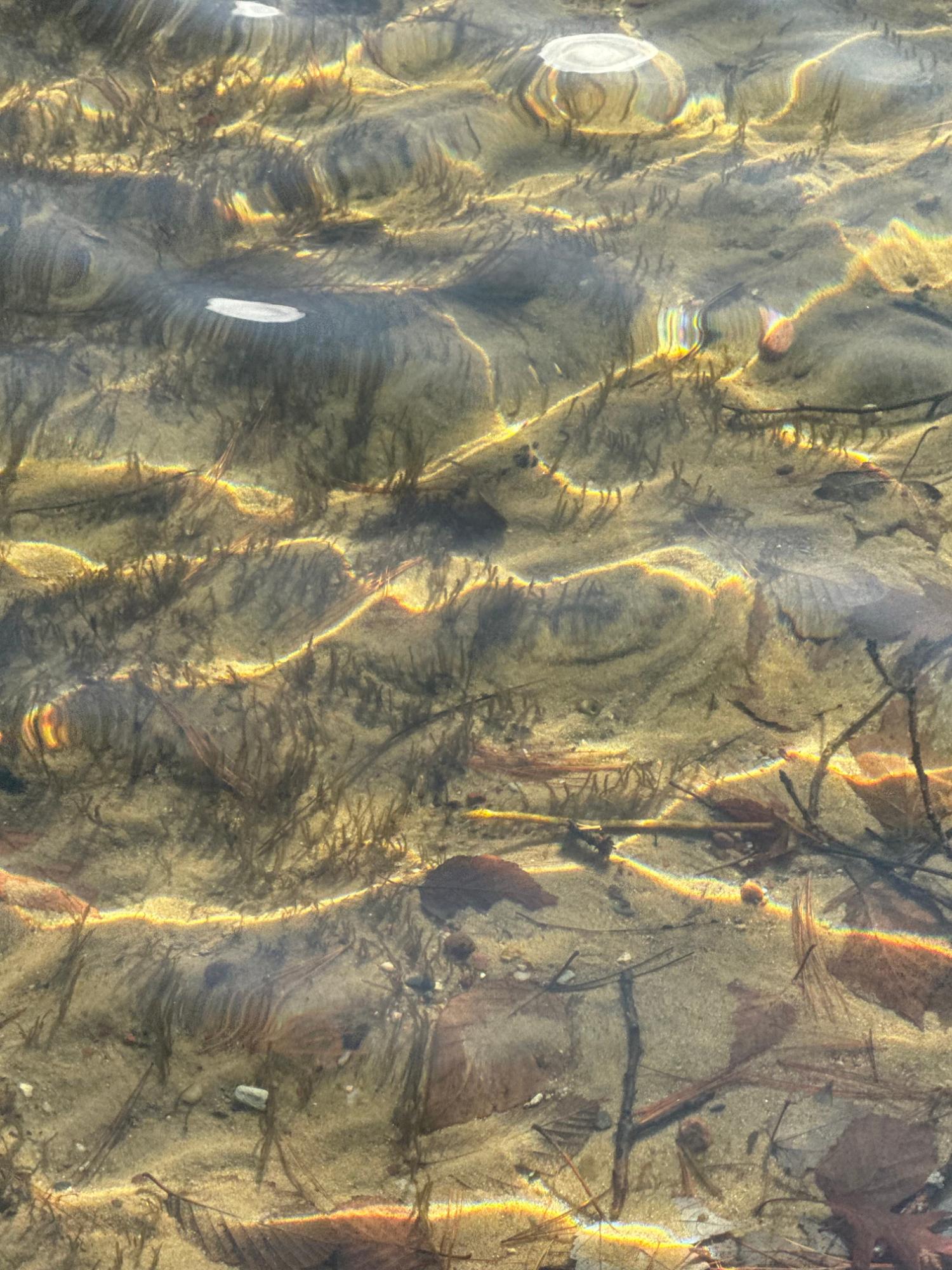 Deerskin Lake Property Off Shangri La Rd Photo 4