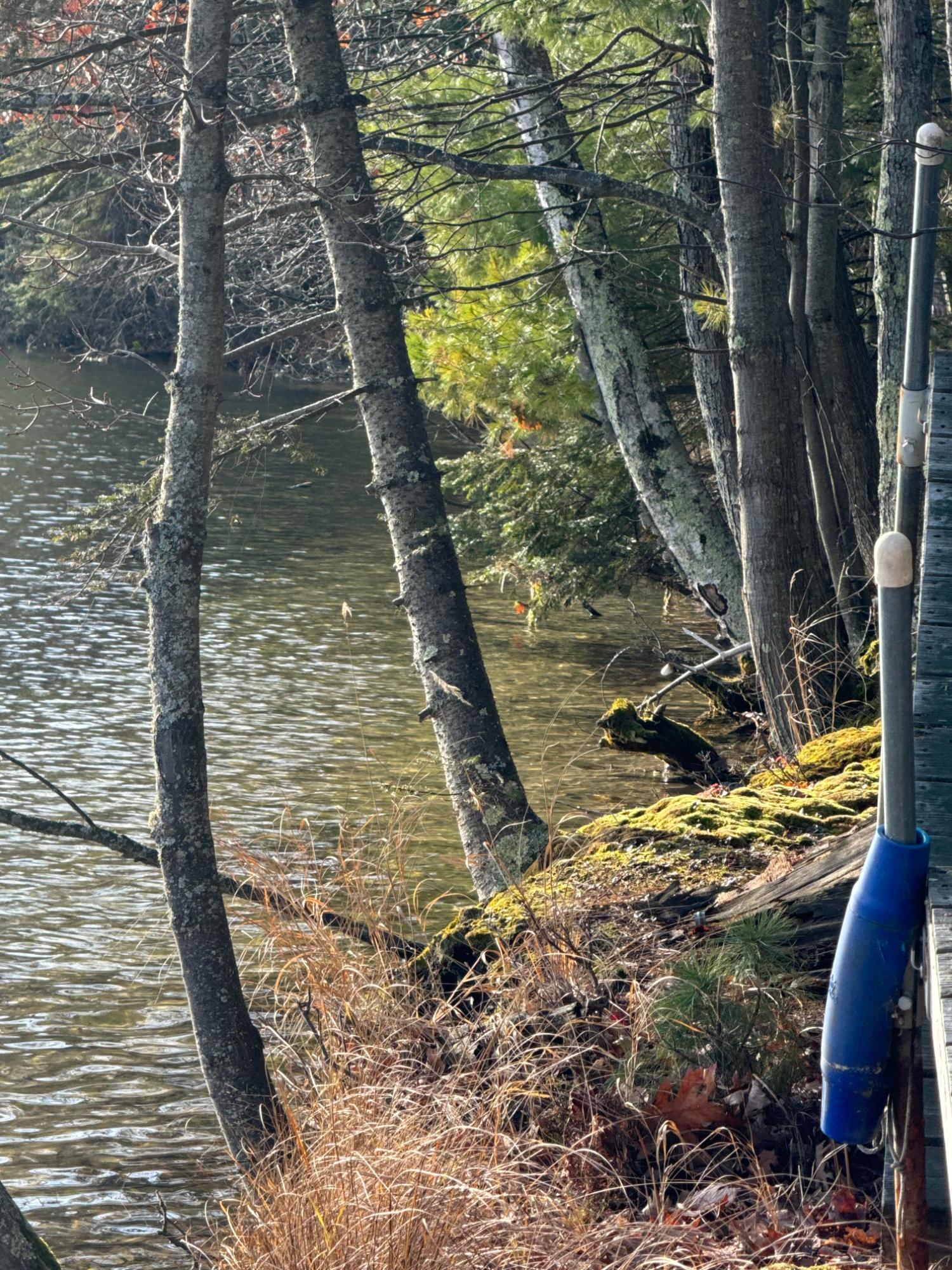 Deerskin Lake Property Off Shangri La Rd Photo 5