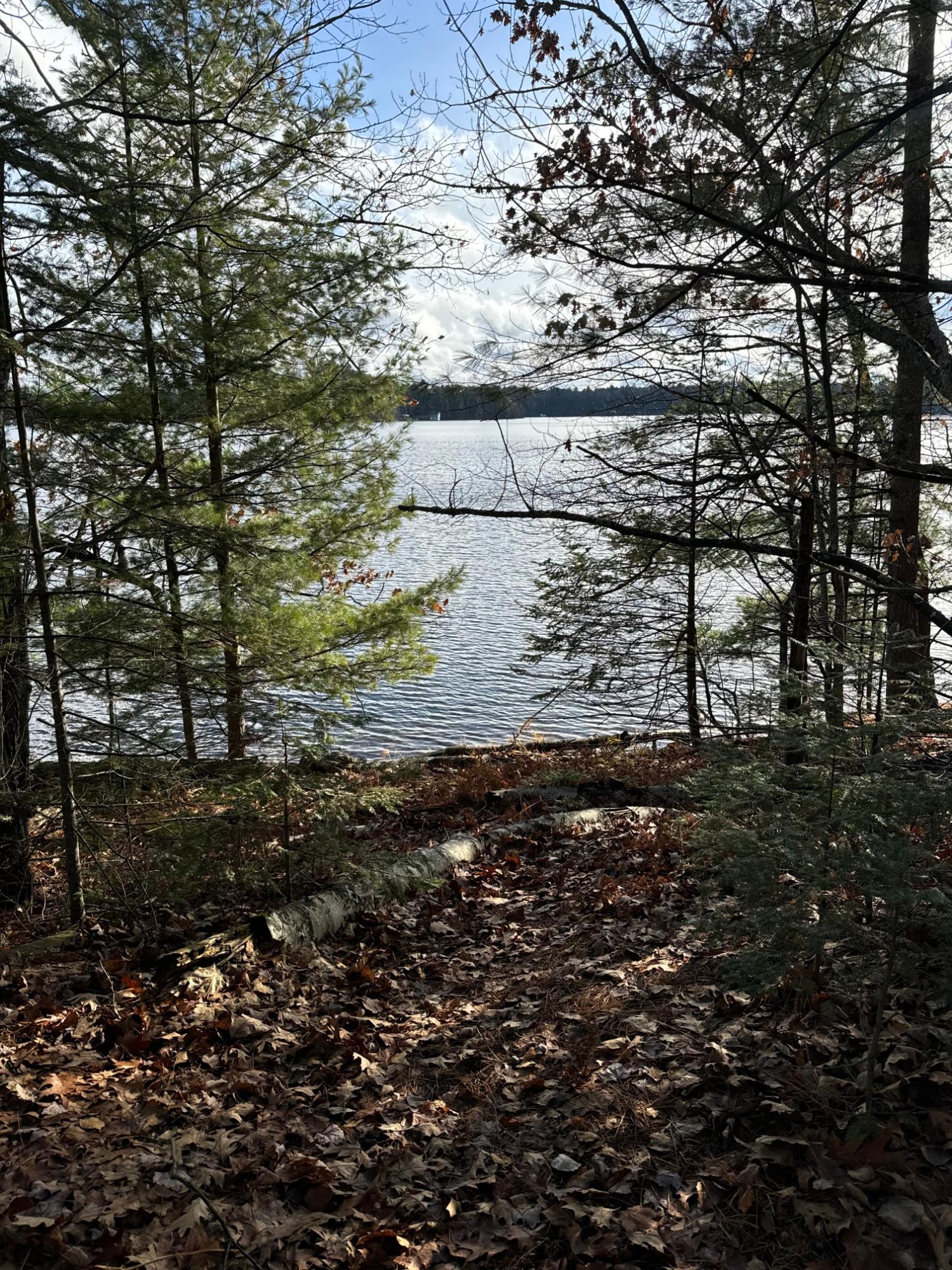 Deerskin Lake Property Off Shangri La Rd Photo 6