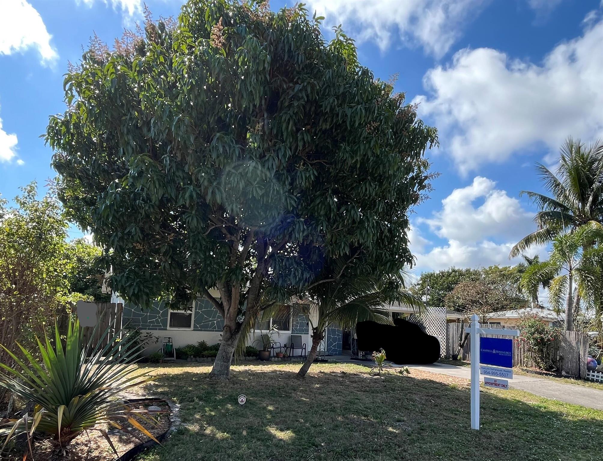 North Andrews Gardens