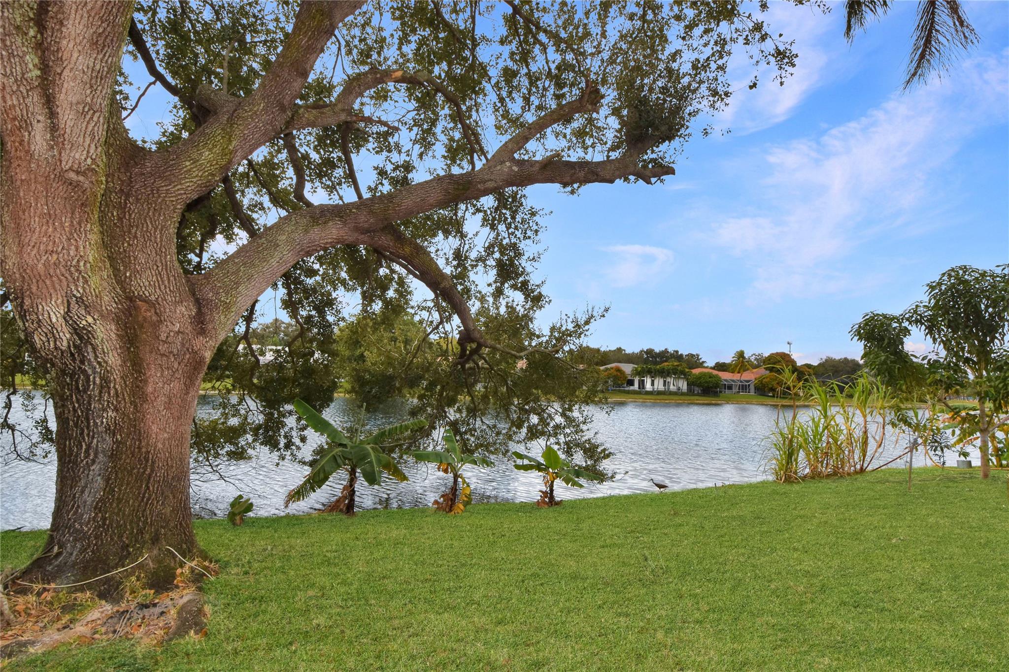 PATIO, POOL, SPA, LARGE YARD AND LAKE VIEW