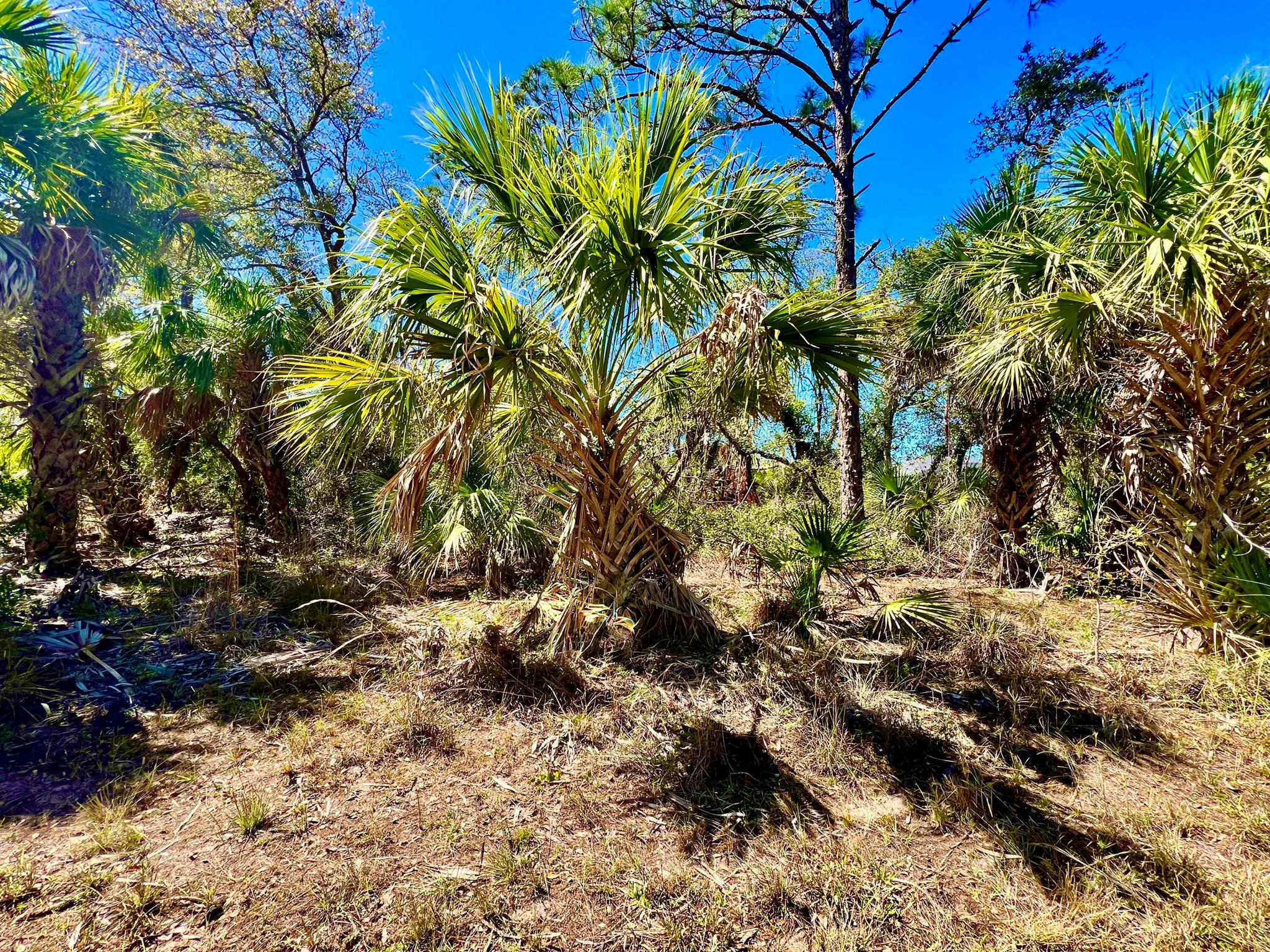 Port Charlotte Sec 24