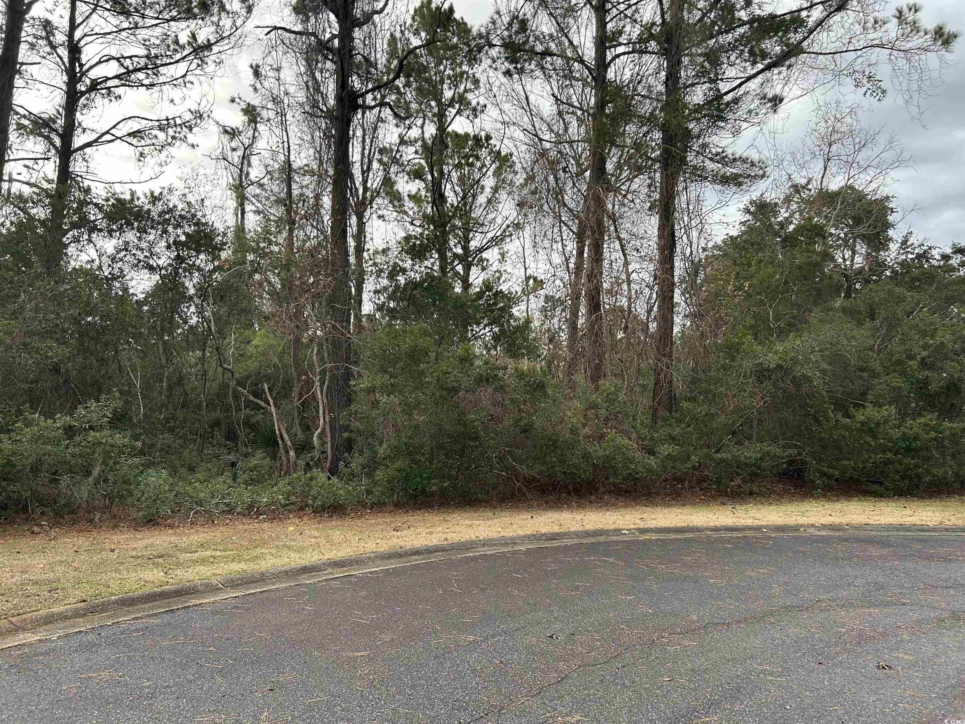 Lot 4 Josie Way Georgetown, SC 29440