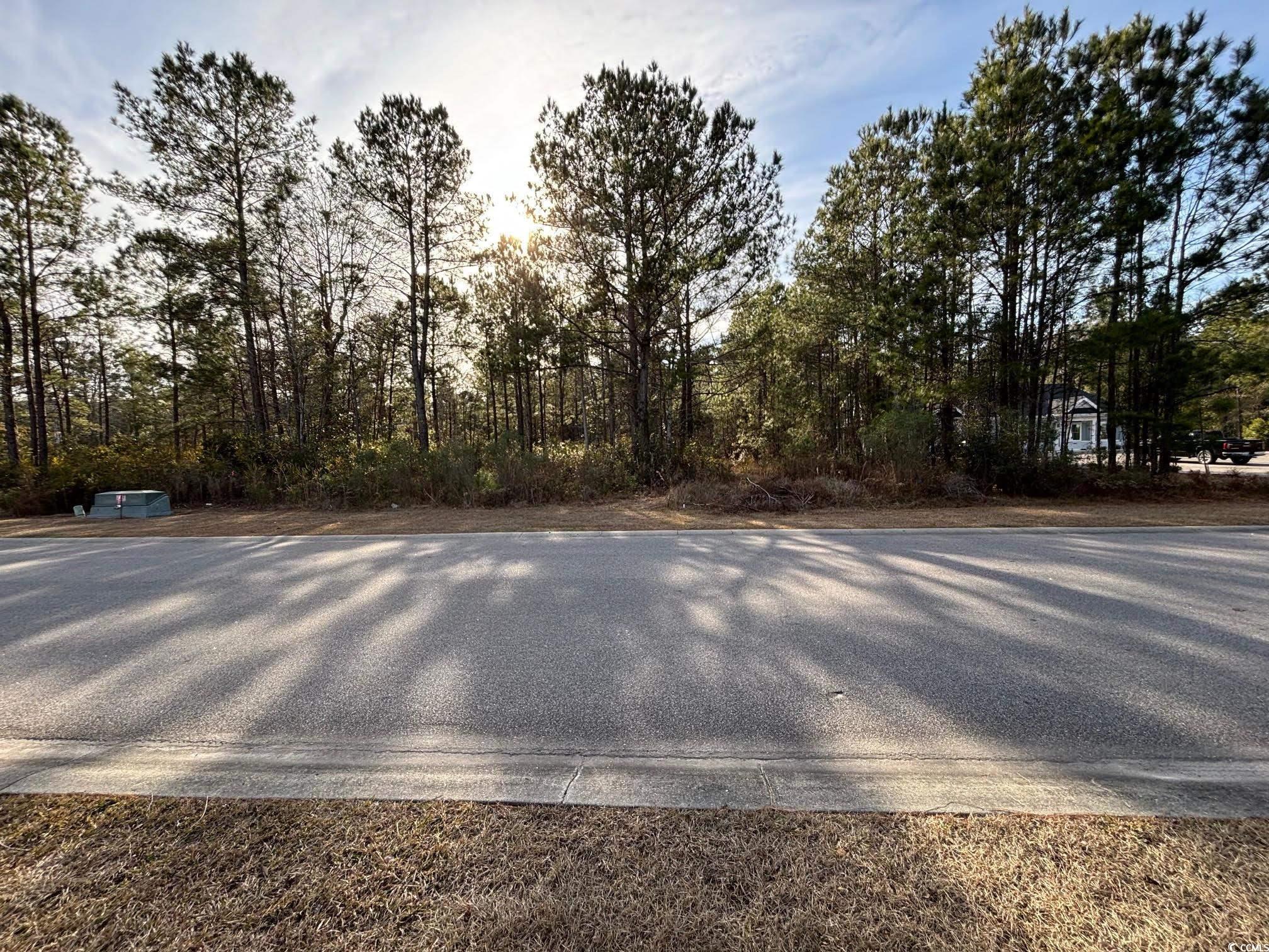 3045 New Castle Loop Myrtle Beach, SC 29588