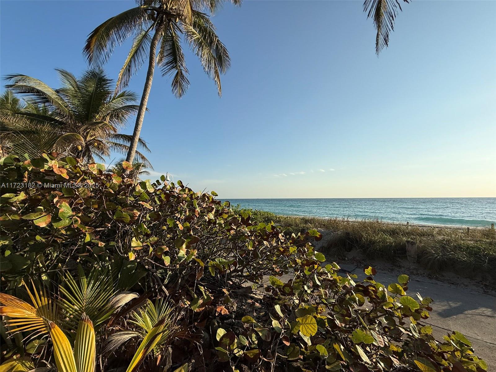 Hollywood Central Beach