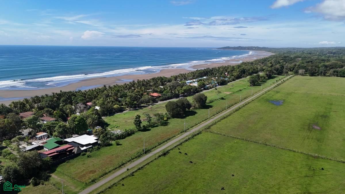0 bed Land For Sale in Parrita, Puntarenas - 1