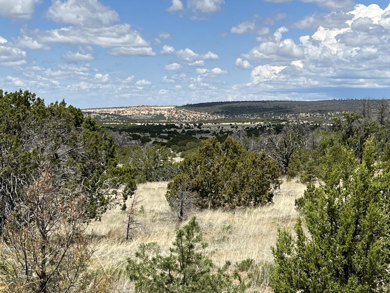 Homes for sale in Ramah, NM | Lot 306 Edgewood Dr, Ramah, NM 87321 | MLS# 1076714